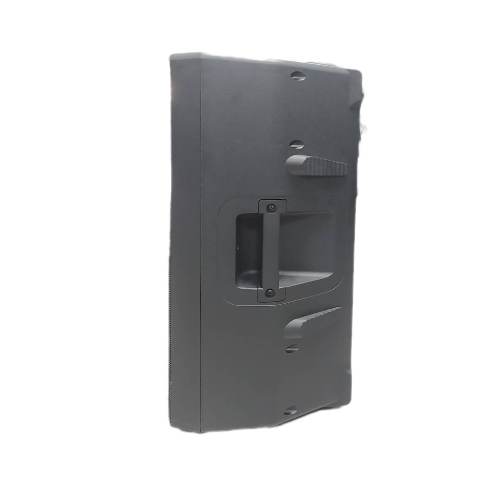 Zico DX-150PRO Passive Speaker