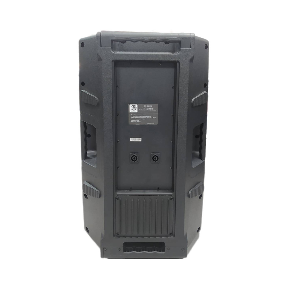 Zico DX-150PRO Passive Speaker