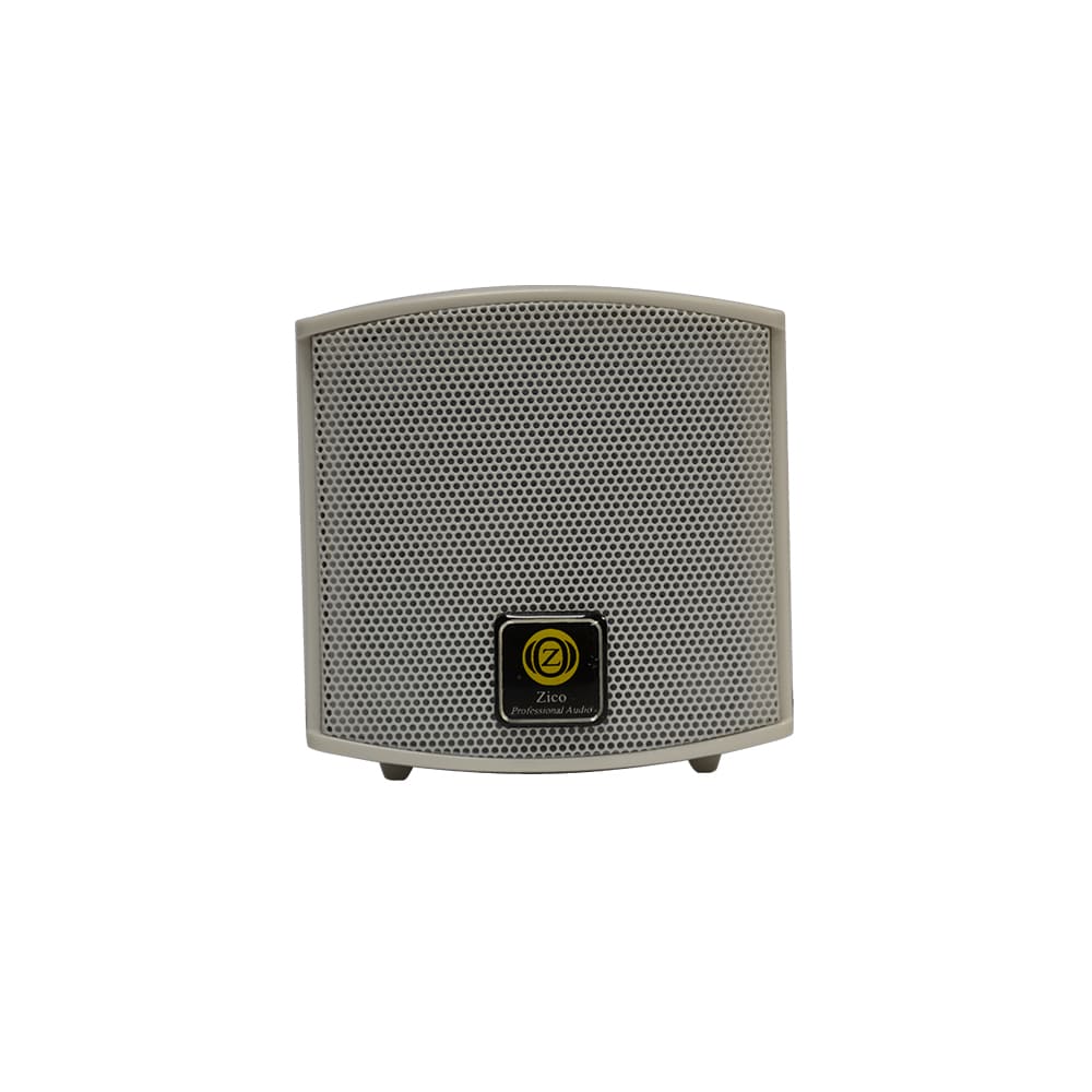 Zico-250-Decorate-Speaker-WS